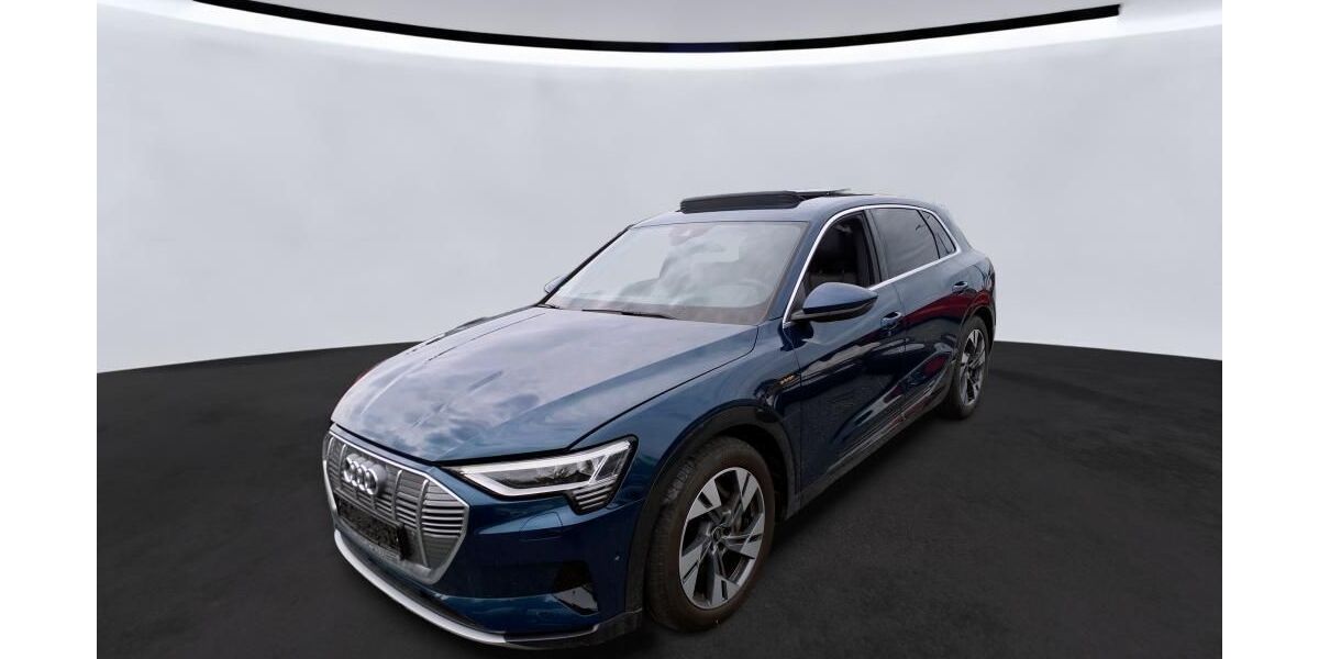 Audi e-tron 31.424 km 33.385 &euro; Hagen 58091