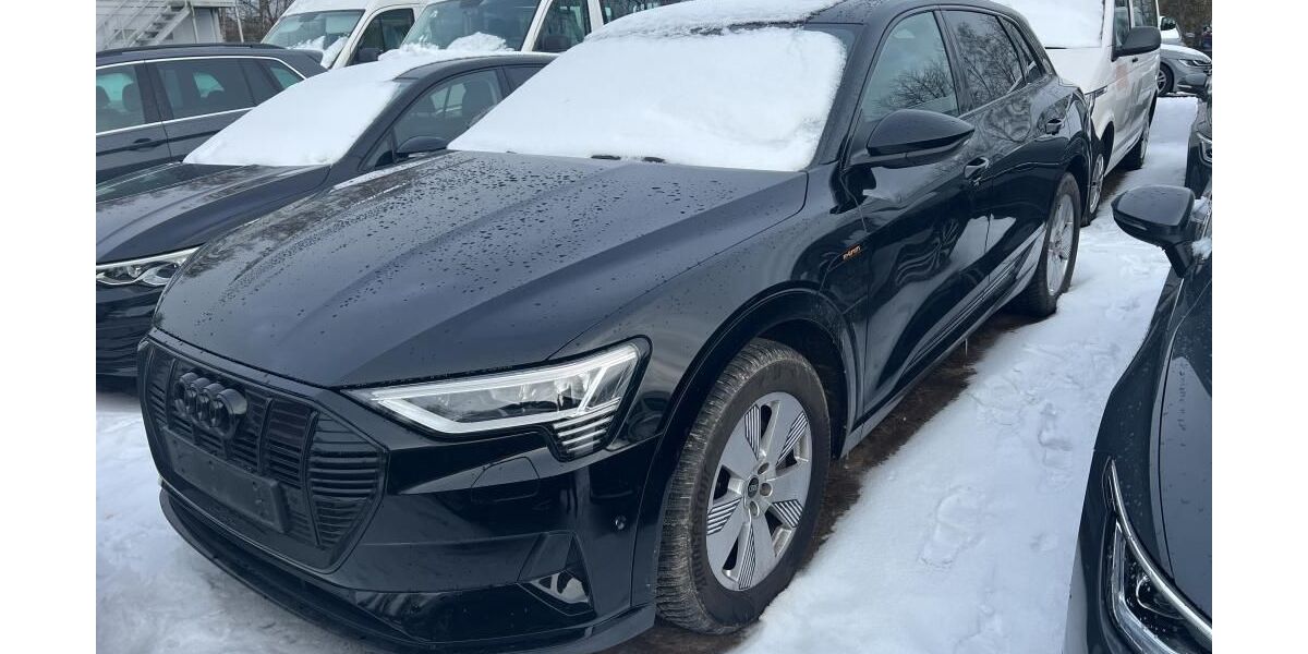 Audi e-tron 61.930 km 37.840 &euro; Hagen 58091