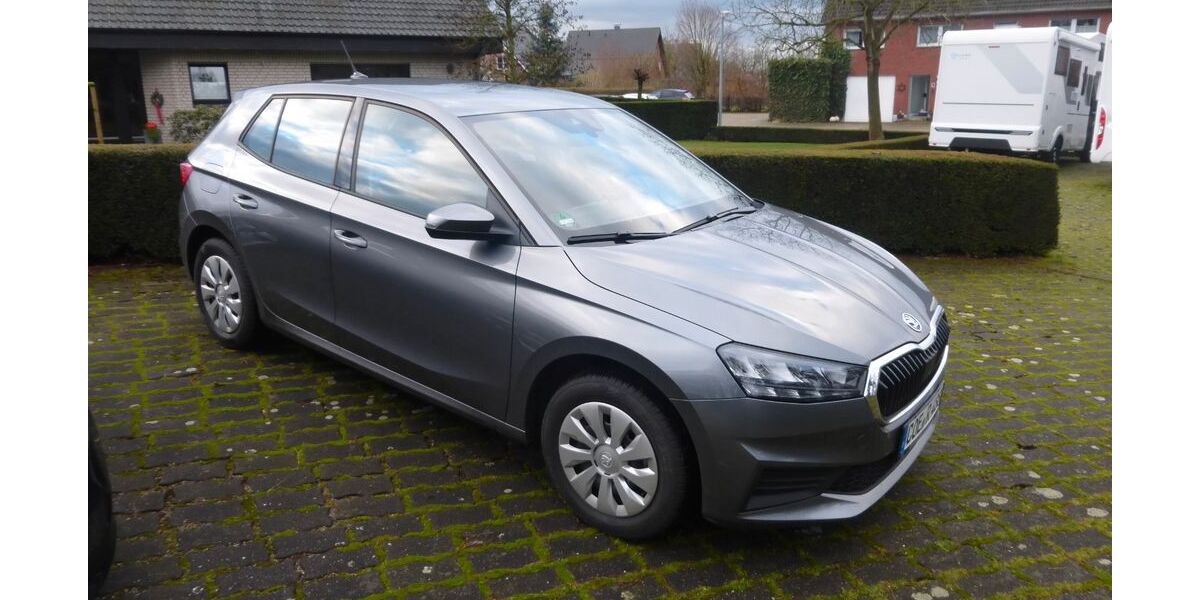 Skoda Fabia 12.000 km 16.990 &euro; Dülmen/OT Hiddingsel 48249