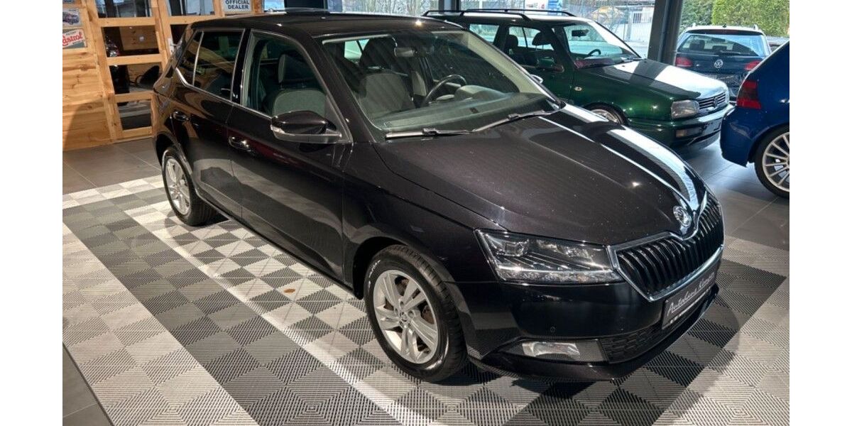 Skoda Fabia 239.800 km 6.490 &euro; Hamm 59073